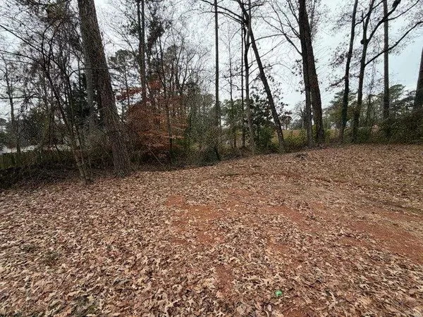 a view of a yard with trees