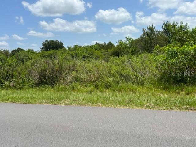 4235 Fanny Bass Road St. Cloud, FL 34772 - Photo 1 of 1 Gallery Image 1