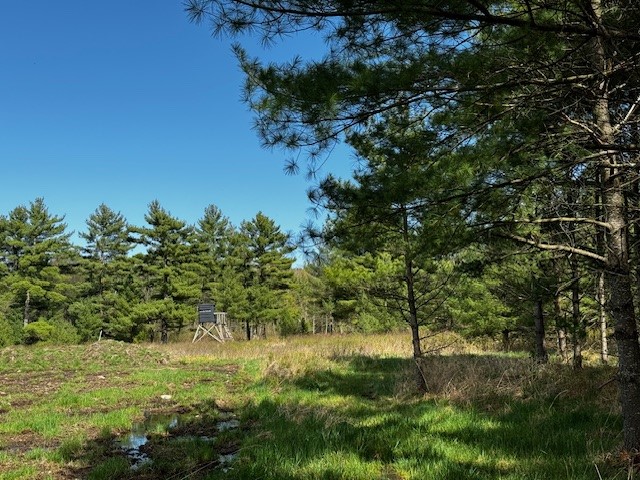 0 Granton Road Neillsville, WI 54456 - Photo 14 of 33
