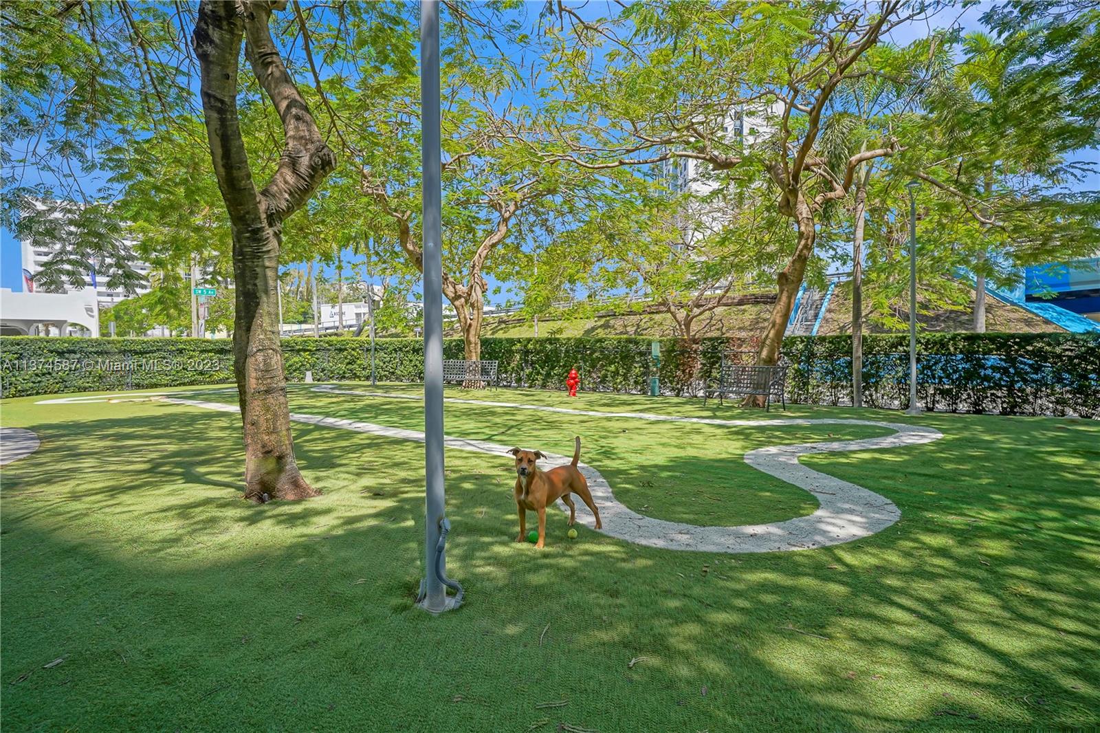10 Southwest South River Drive, Unit 703 Miami, FL 33130 - Photo 42 of 47 a view of a park with large trees