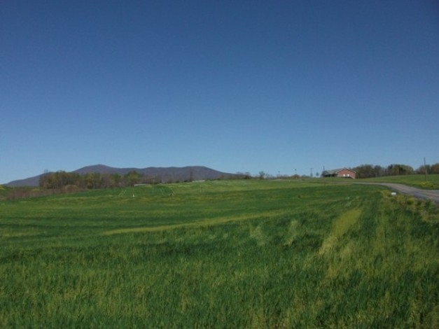 Lot 6 Dugwell Road Boones Mill, VA 24065 - Photo 8 of 9 Property