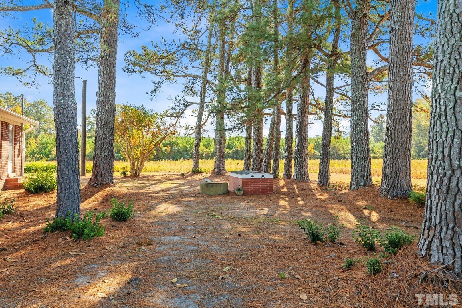 6198 Highway 401 Bunnlevel, NC 28323 - Photo 30 of 33 a view of a yard with plants and large trees