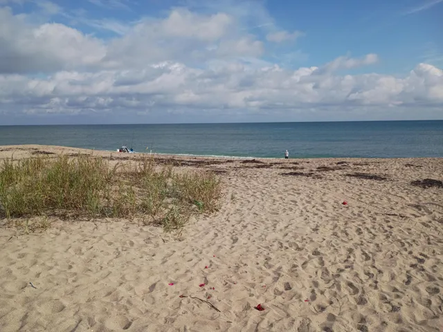 a view of water heater in a yard