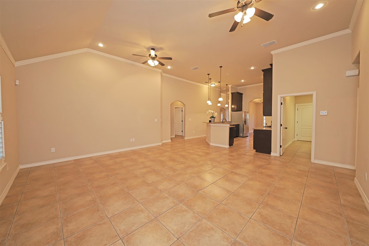 115 Michoacan Loop Laredo, TX 78045 - Photo 11 of 20 Gallery Image 11