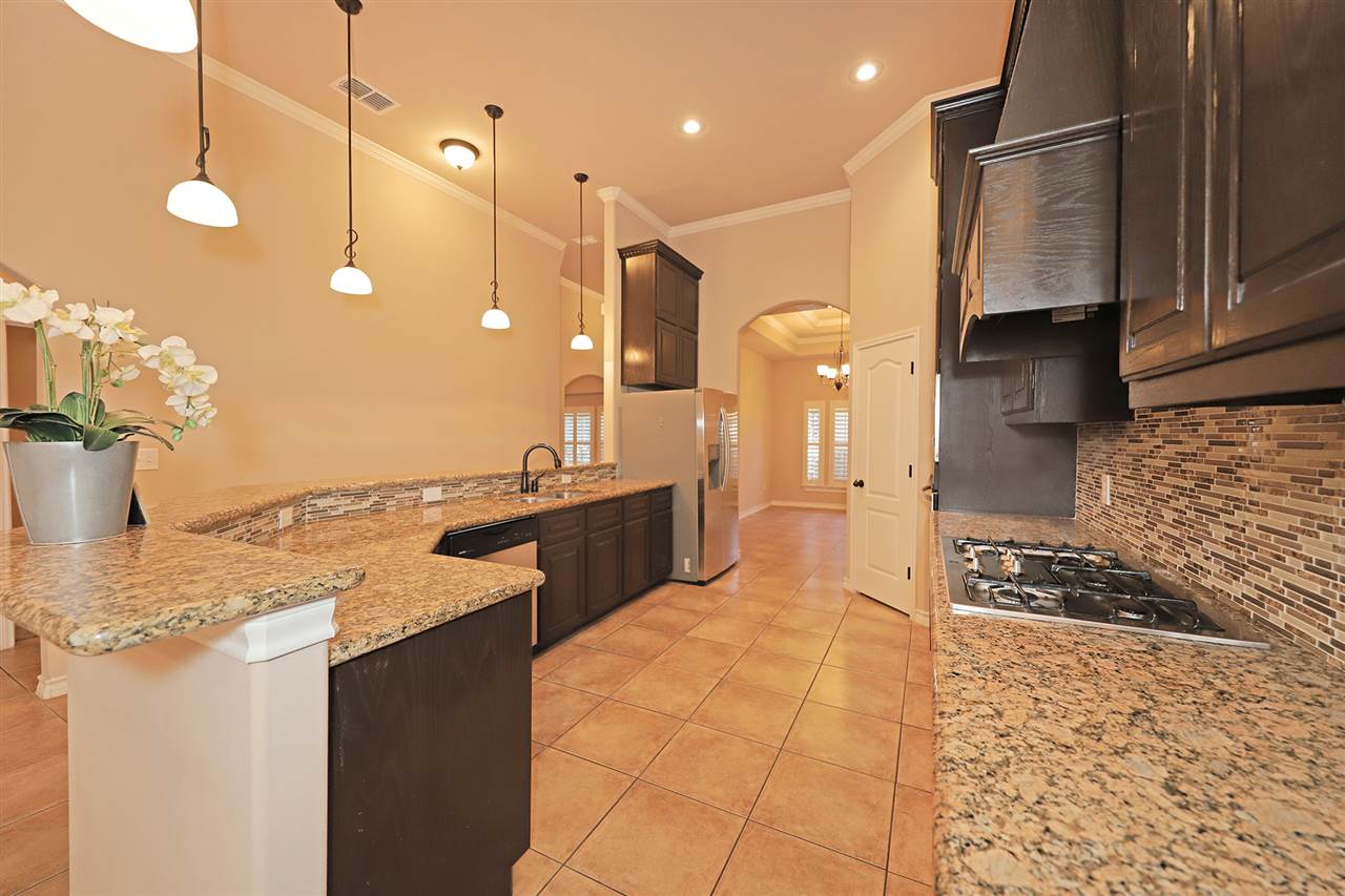 115 Michoacan Loop Laredo, TX 78045 - Photo 9 of 20 Gallery Image 9