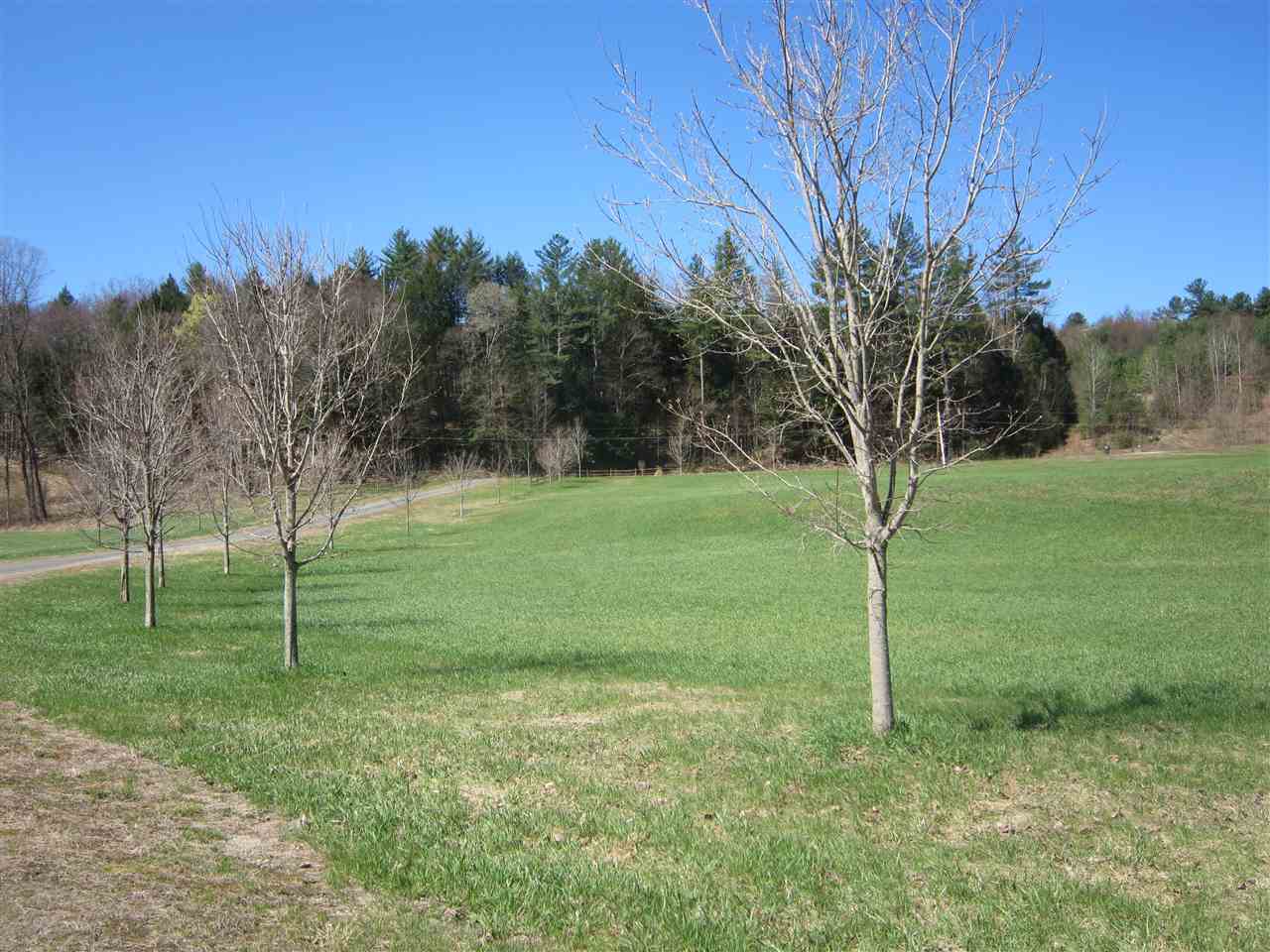 0 River Road Newfane, VT 05345 - Photo 11 of 24