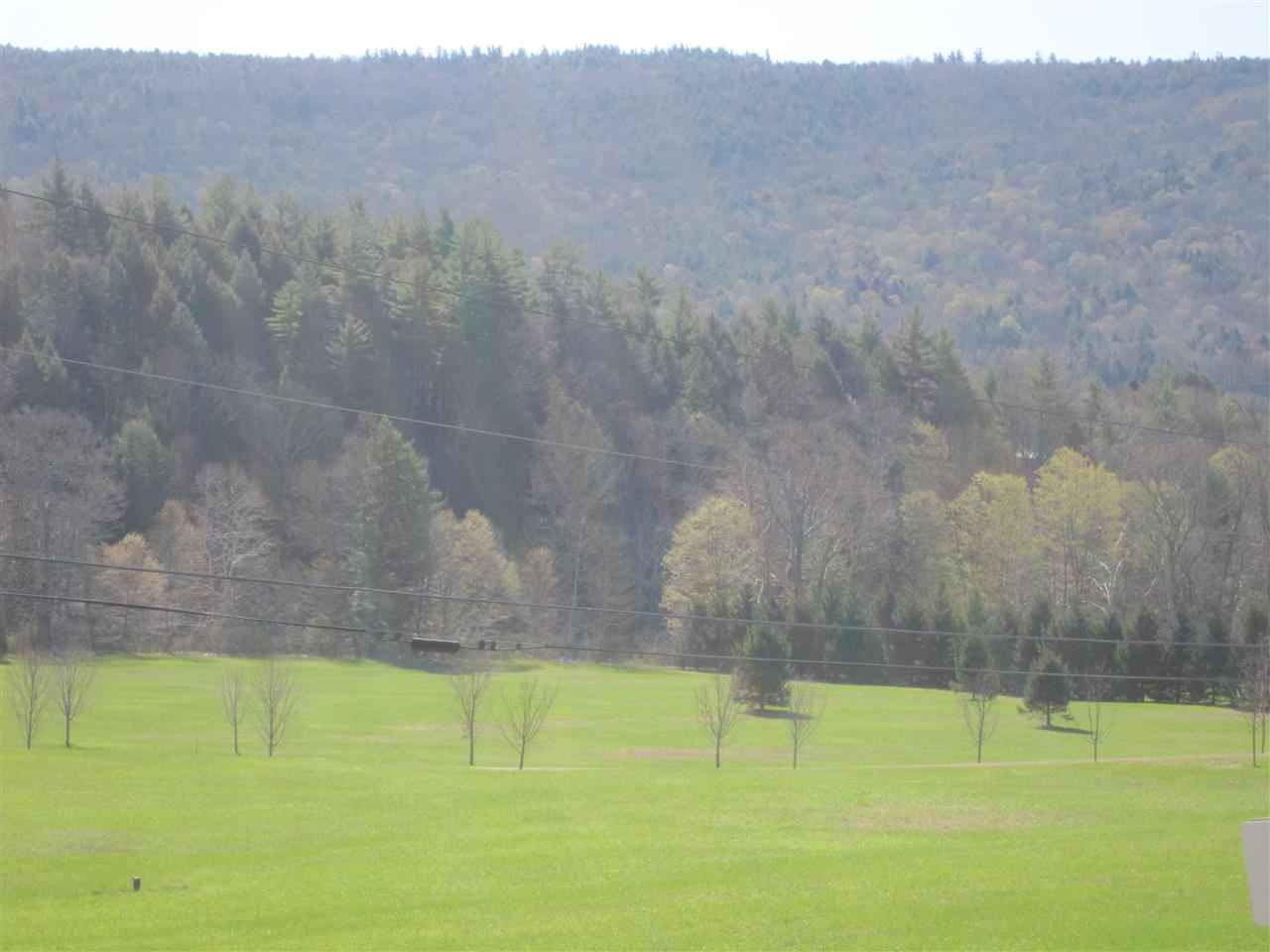 0 River Road Newfane, VT 05345 - Photo 13 of 24