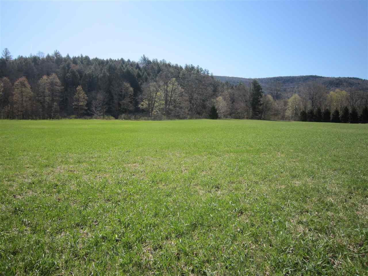 0 River Road Newfane, VT 05345 - Photo 14 of 24