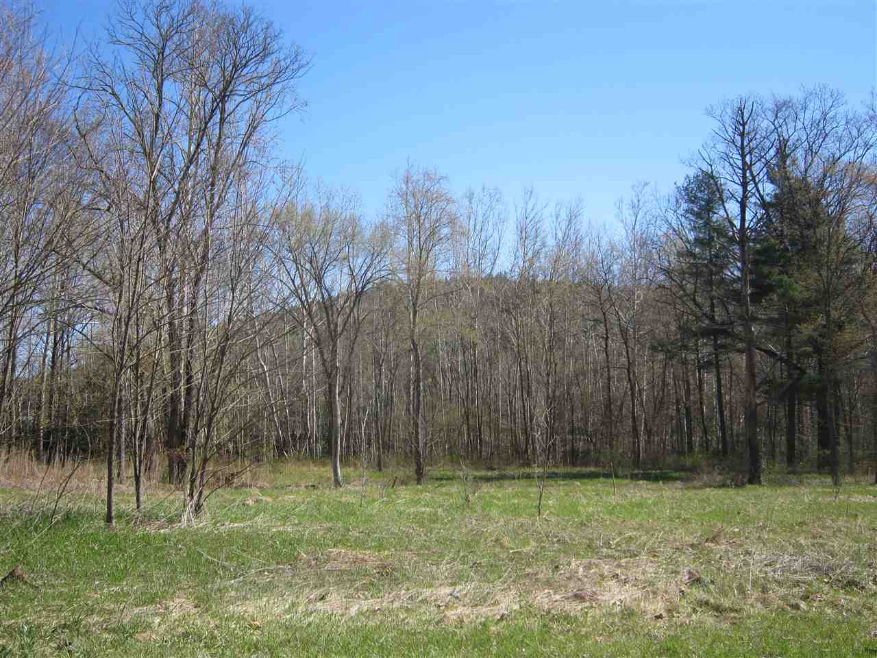 0 River Road Newfane, VT 05345 - Photo 18 of 24