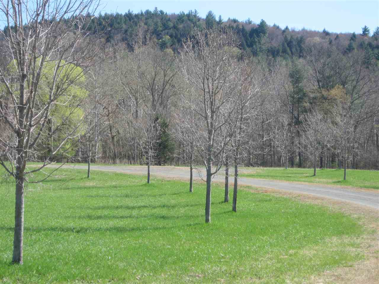 0 River Road Newfane, VT 05345 - Photo 10 of 24