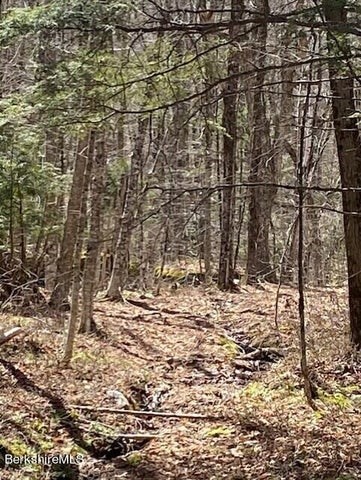 0 Main Road North Adams, MA 01247 - Photo 3 of 7 Gallery Image 3