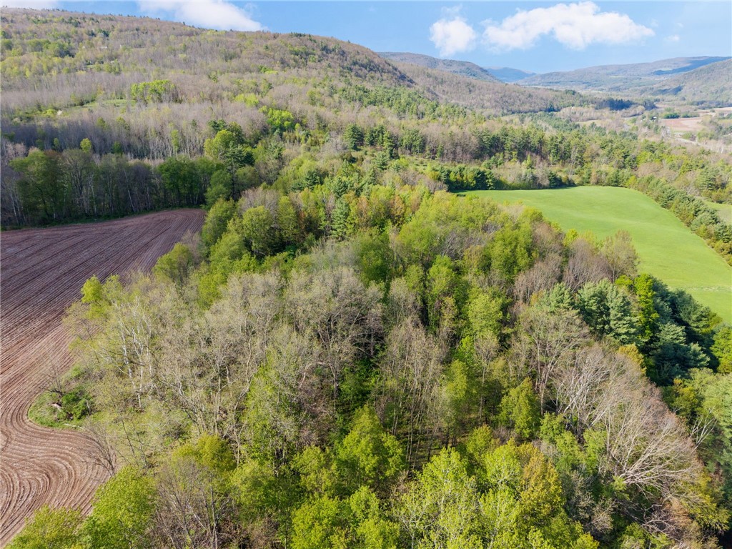 Westkill Road North Blenheim, NY 12131 - Photo 31 of 38
