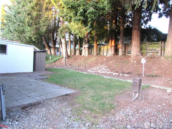 a view of a yard with a tree