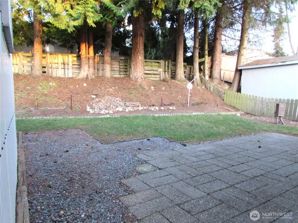 a view of a backyard with large trees