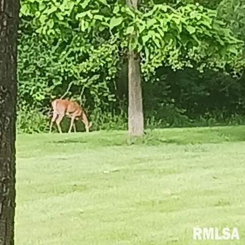 $215,000 | 646 Us Highway, Monmouth, IL 61462