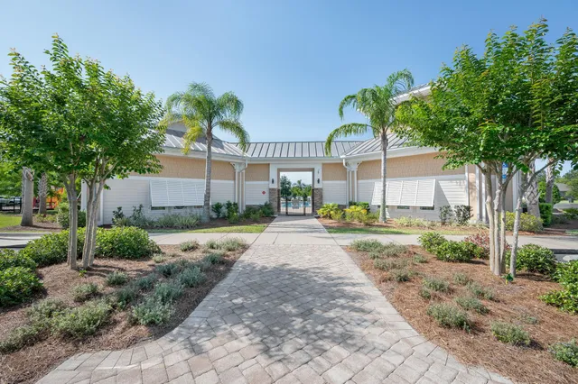 a view of a yard with plants and a large tree