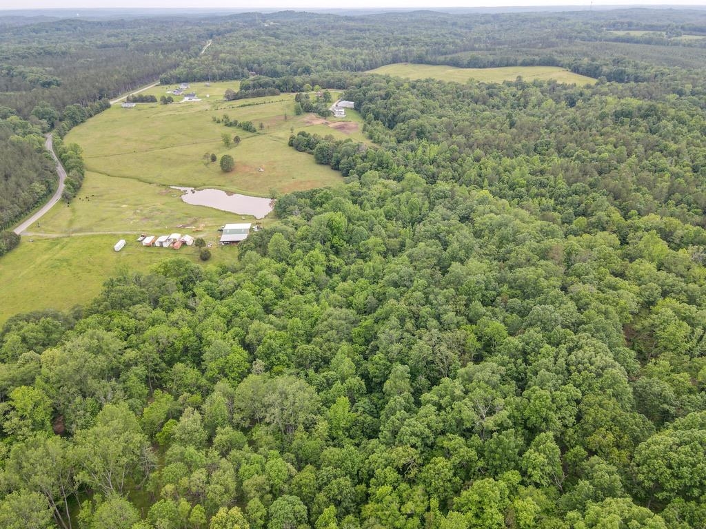 150 Ponder Road Buffalo, SC 29321 - Photo 26 of 50