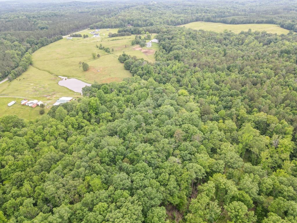150 Ponder Road Buffalo, SC 29321 - Photo 28 of 50