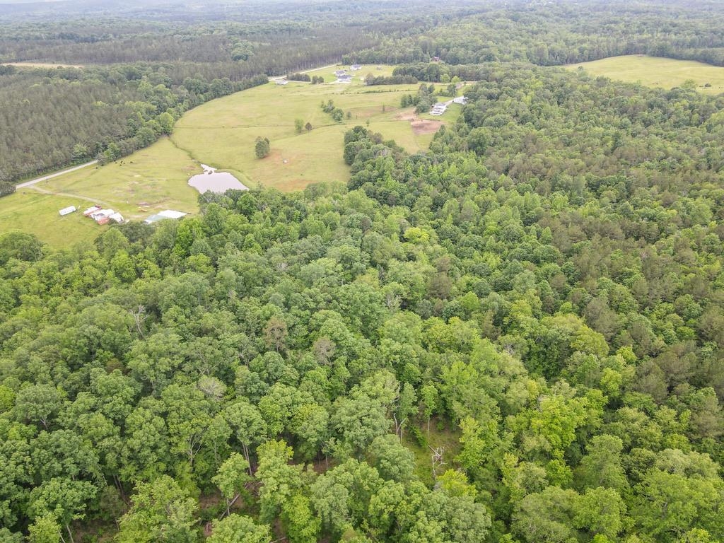 150 Ponder Road Buffalo, SC 29321 - Photo 29 of 50