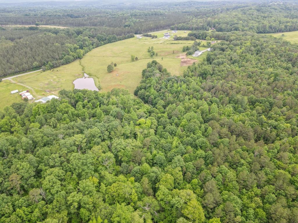 150 Ponder Road Buffalo, SC 29321 - Photo 30 of 50