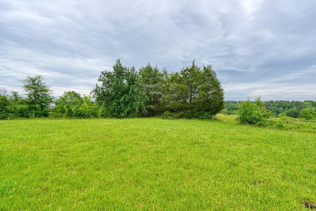 150 Ponder Road Buffalo, SC 29321 - Photo 46 of 50