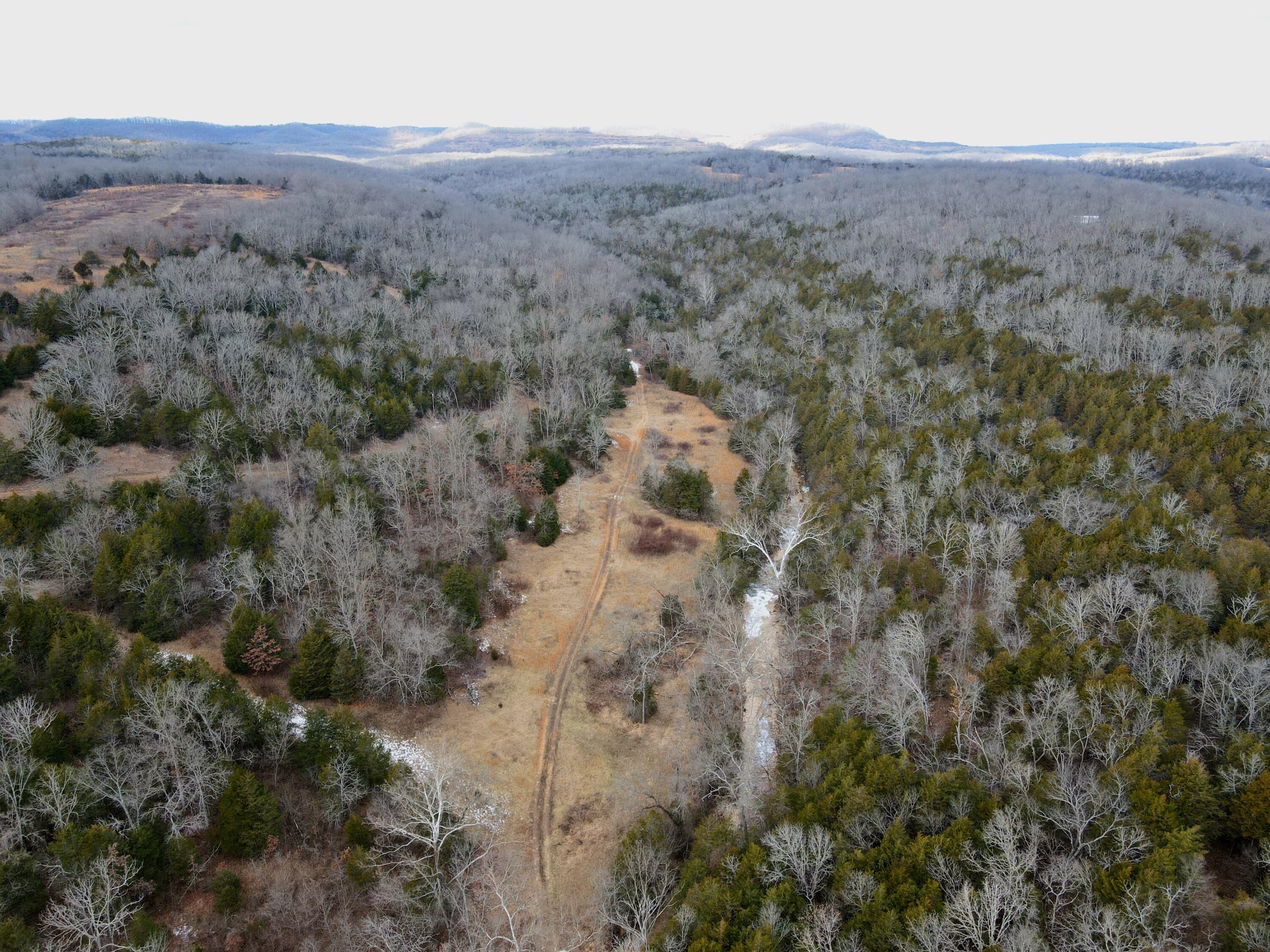 0 Hickory Flats Road Ava, MO 65608 - Photo 33 of 46 dji_fly_20250123_112810_150_173767884210
