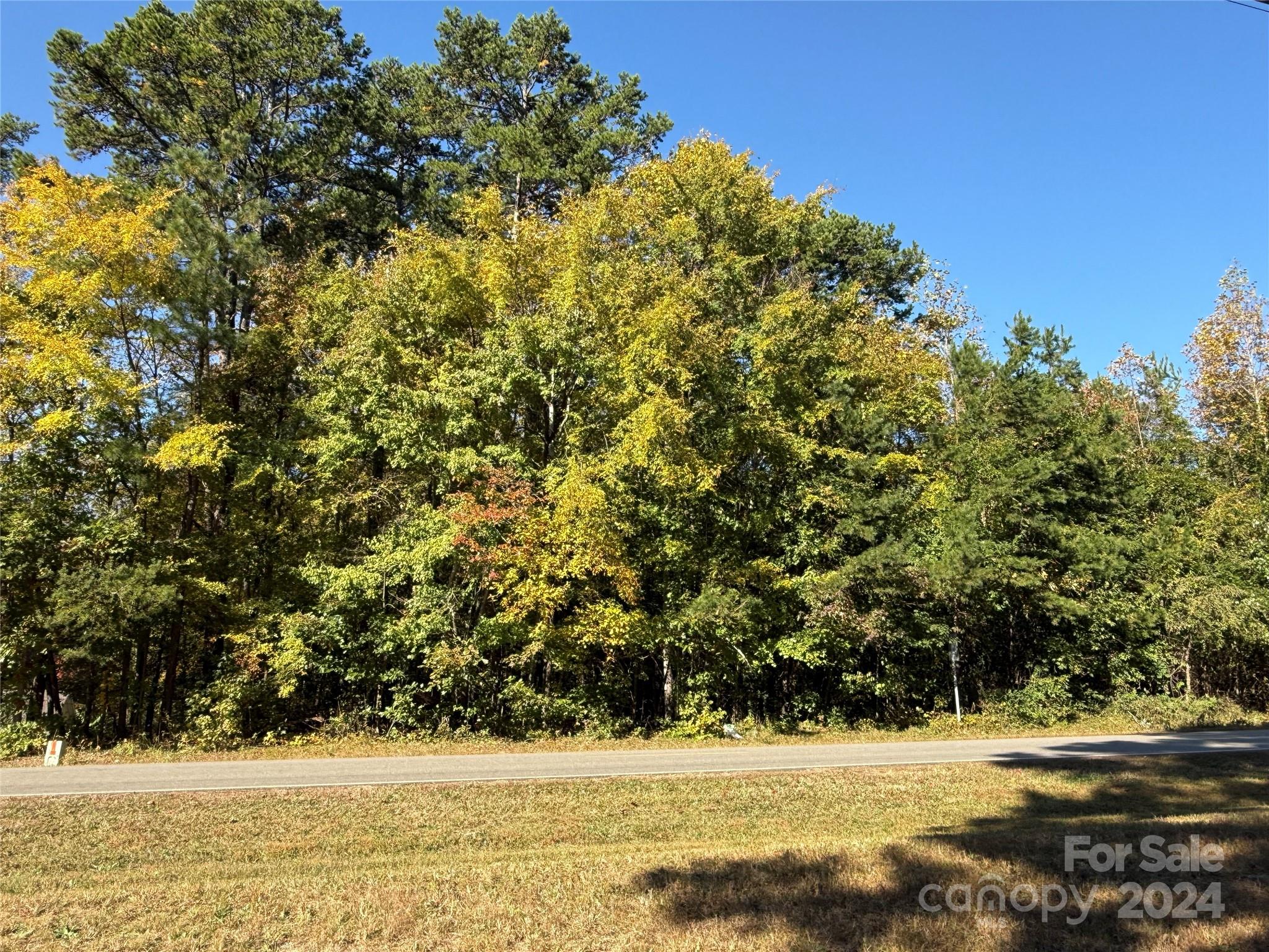 0 McCrary Road Mooresville, NC 28117 - Photo 1 of 2 a view of yard