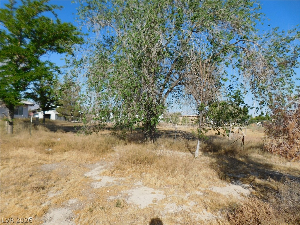 4760 McGraw Road Pahrump, NV 89061 - Photo 22 of 24 Rear