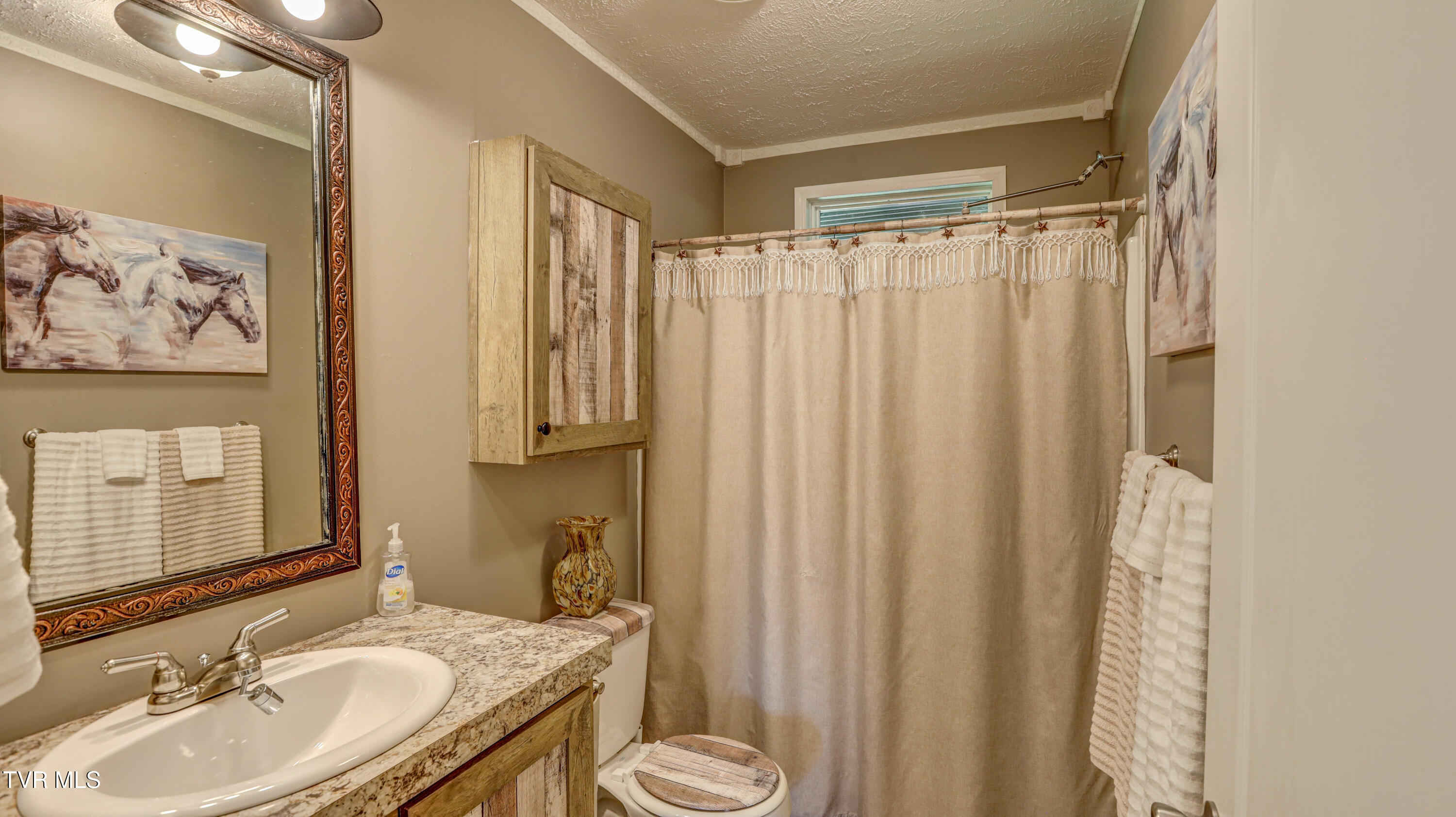 18378 Buffalo Pond Road Bristol, VA 24202 - Photo 33 of 48 AV4A6486_87_88_89_90