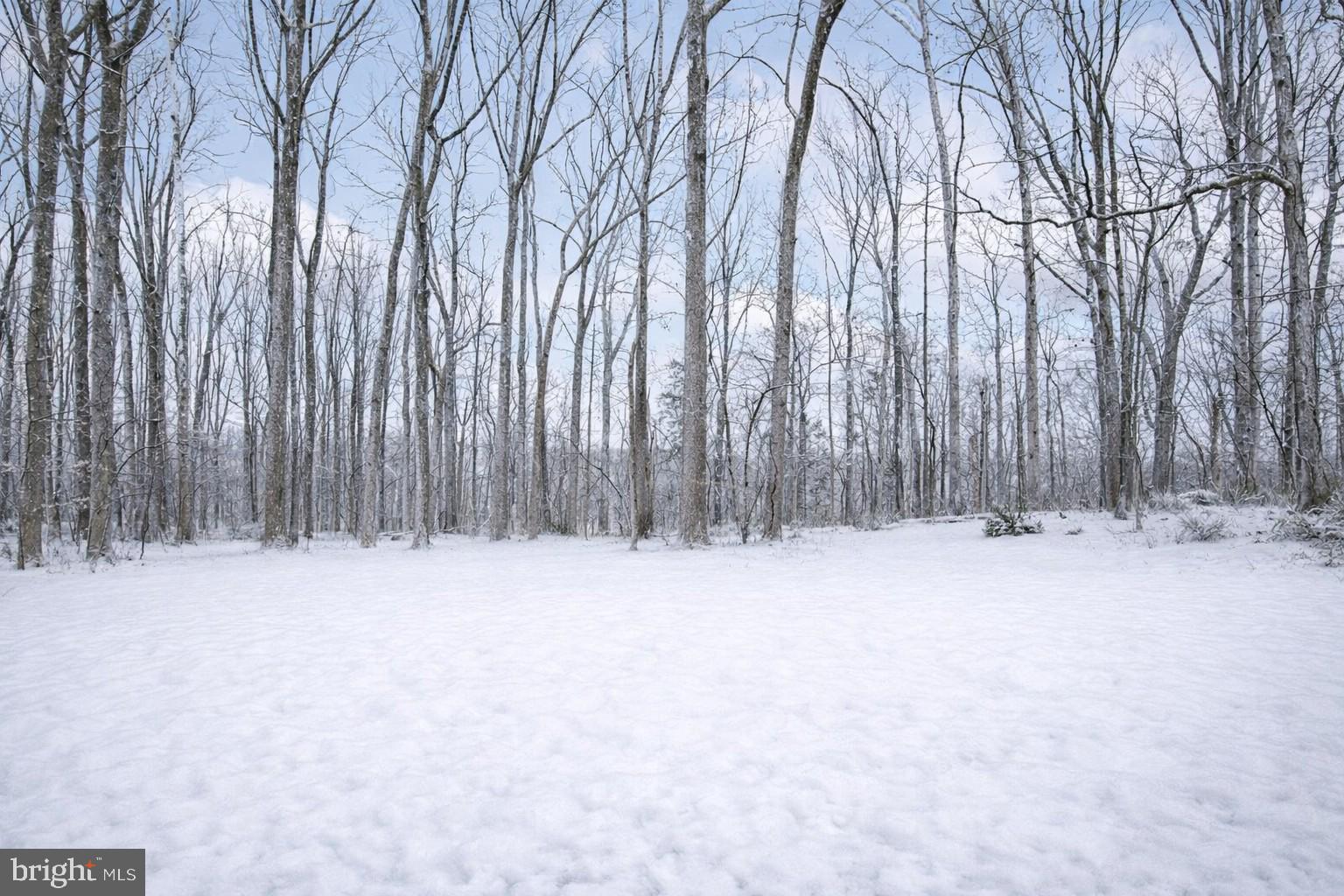 10209 Lloyd Road Potomac, MD 20854 - Photo 17 of 29 a view of yard with trees