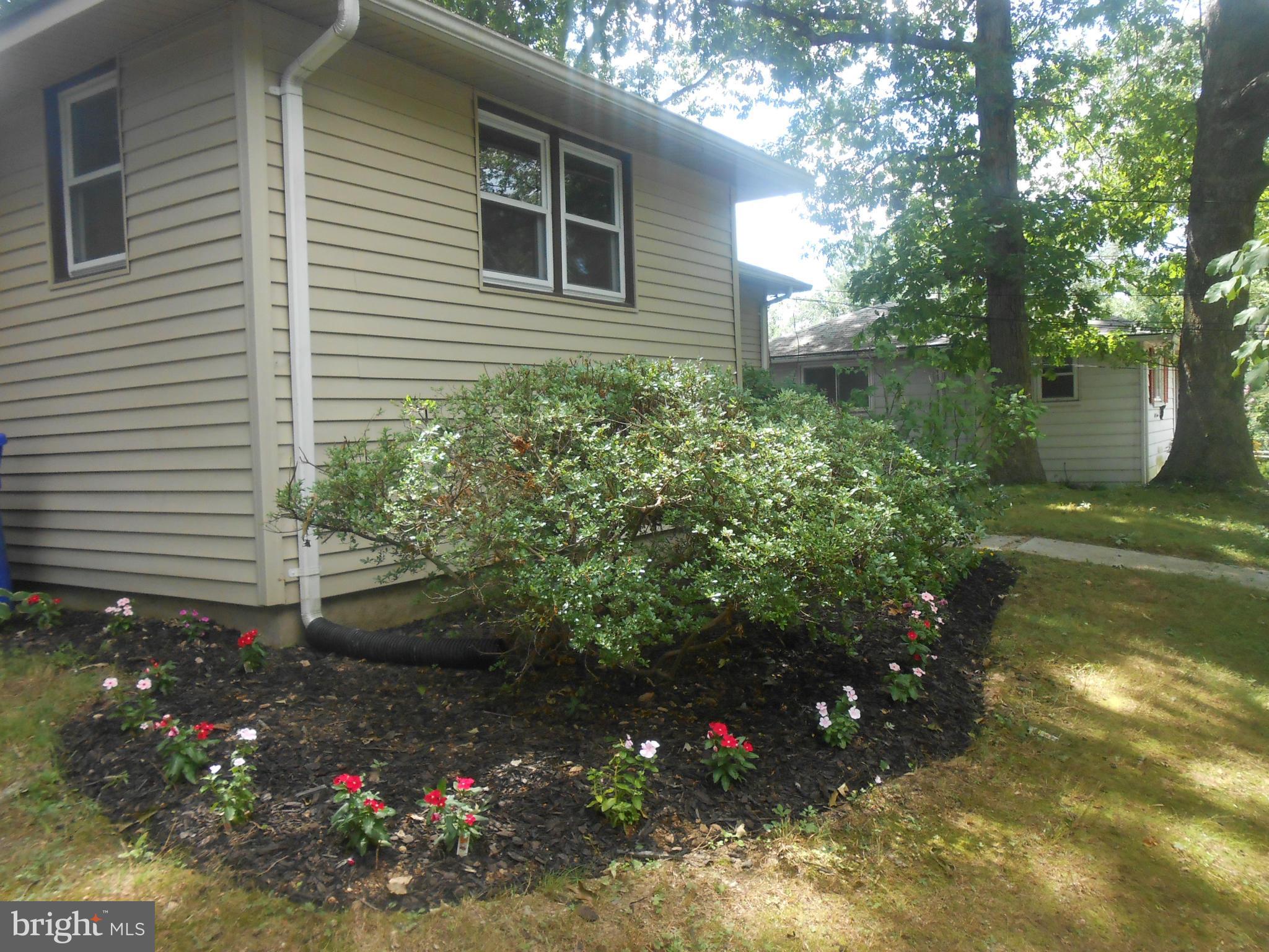 4012 Lawrence Avenue Kensington, MD 20895 - Photo 17 of 18 Front Landscaping
