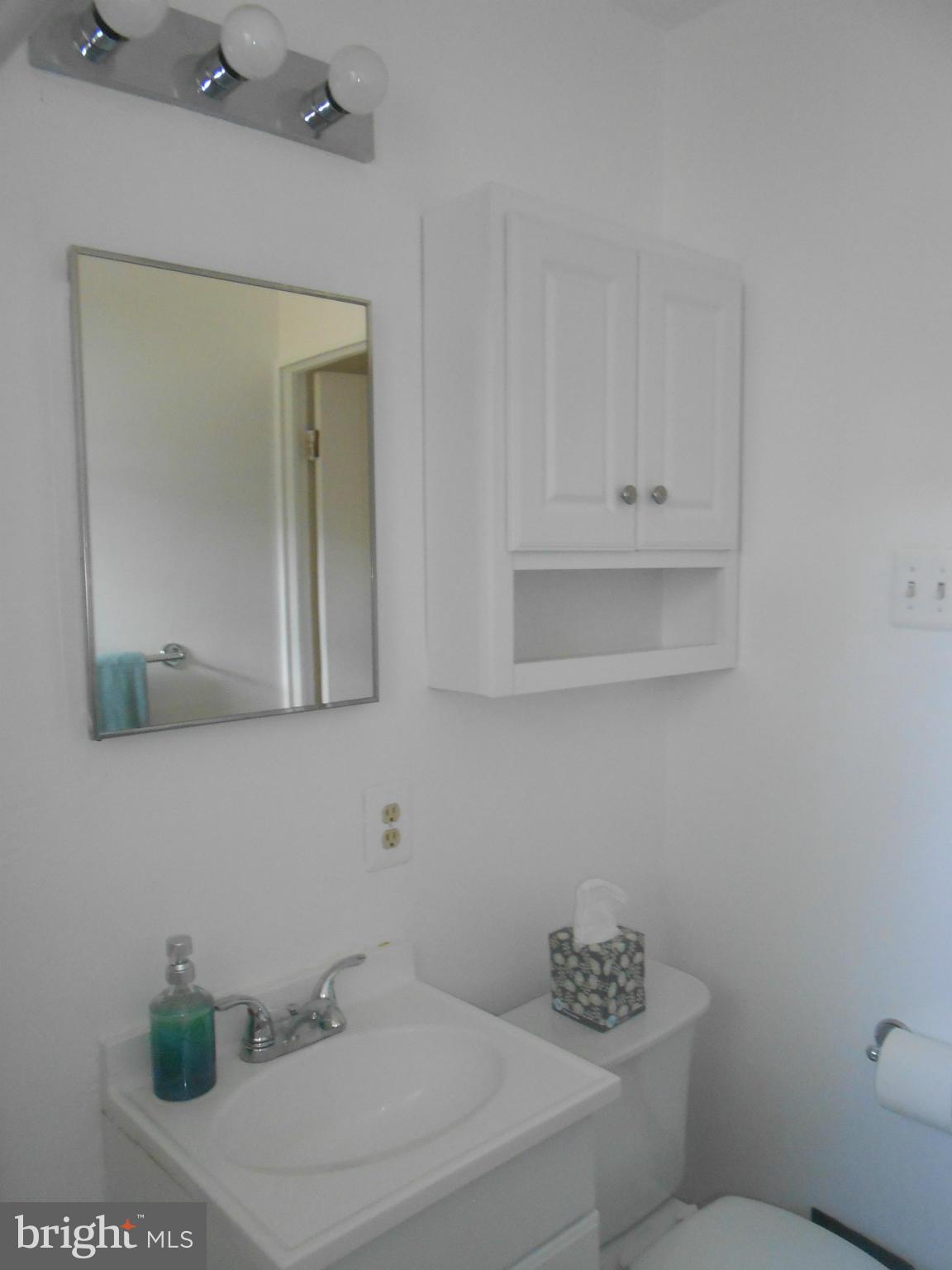 4012 Lawrence Avenue Kensington, MD 20895 - Photo 7 of 18 Bath Other View