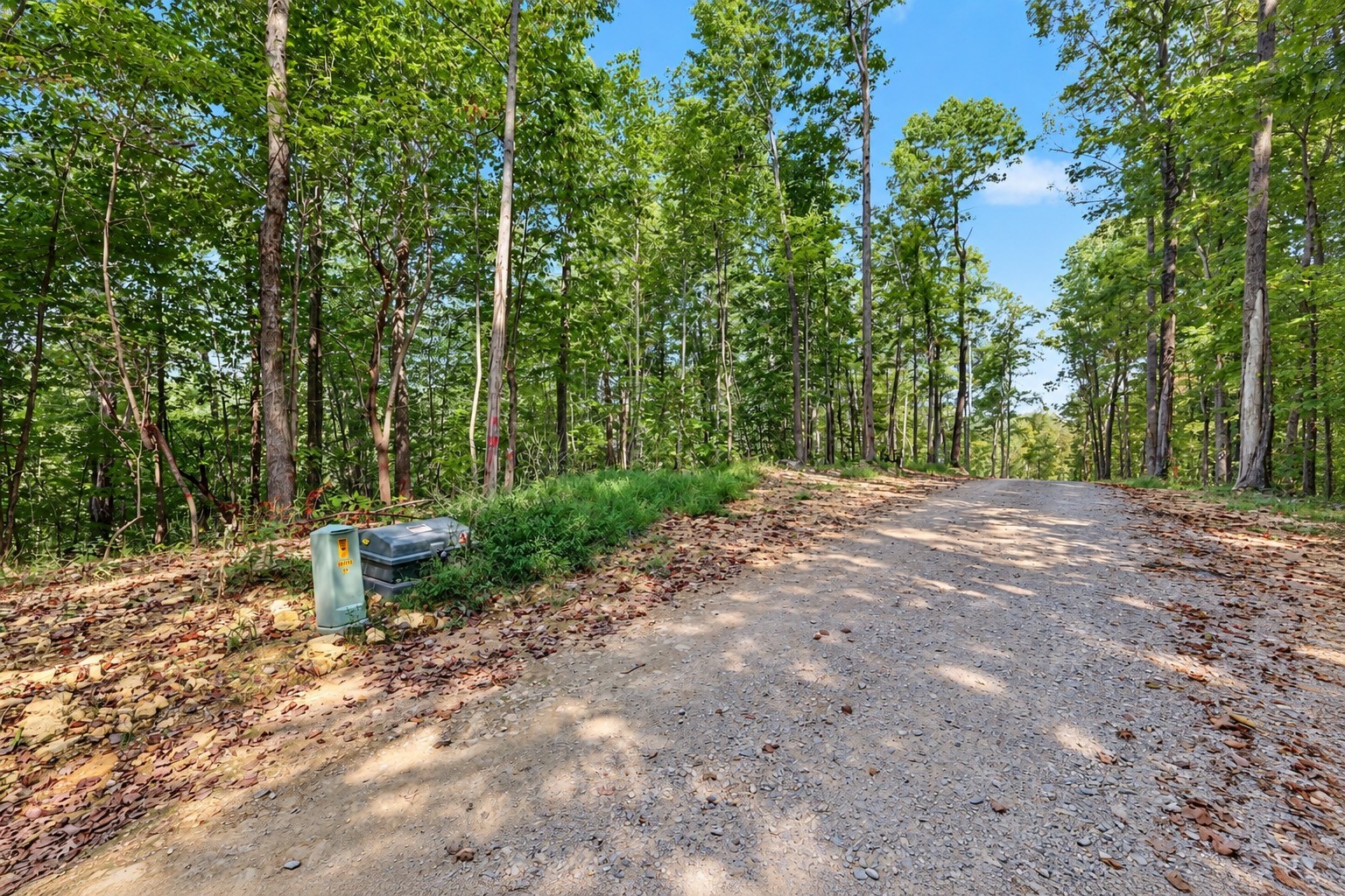 0 Joe Ridge Road Celina, TN 38551 - Photo 4 of 49 Gallery Image 4