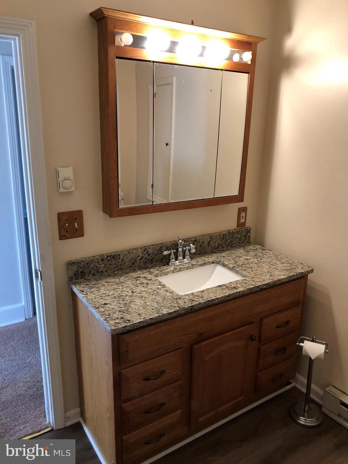 546 Fey Road Chestertown, MD 21620 - Photo 13 of 19 Gallery Image 13