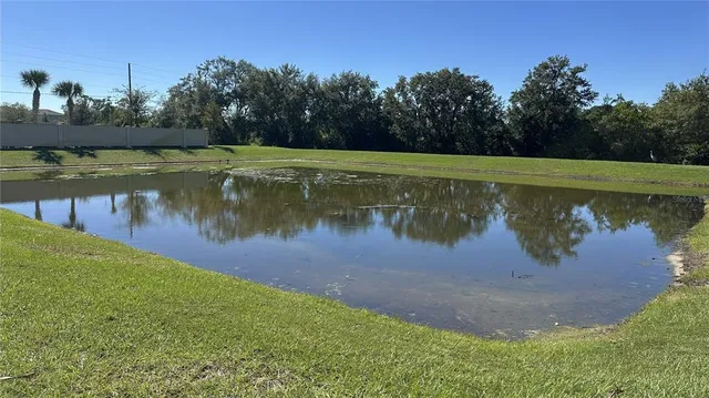 $2,500 | 2505 Ribbon Fall Avenue, Davenport, FL 33837