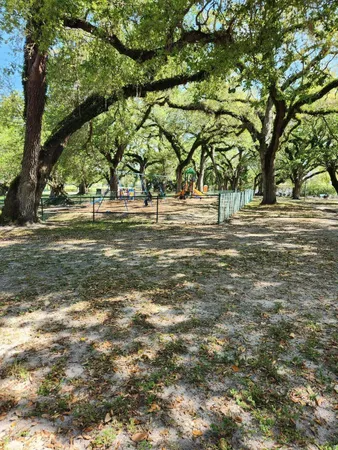 a big yard with trees
