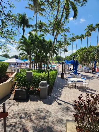 a view of a patio with plants and chairs potted plants and large tree