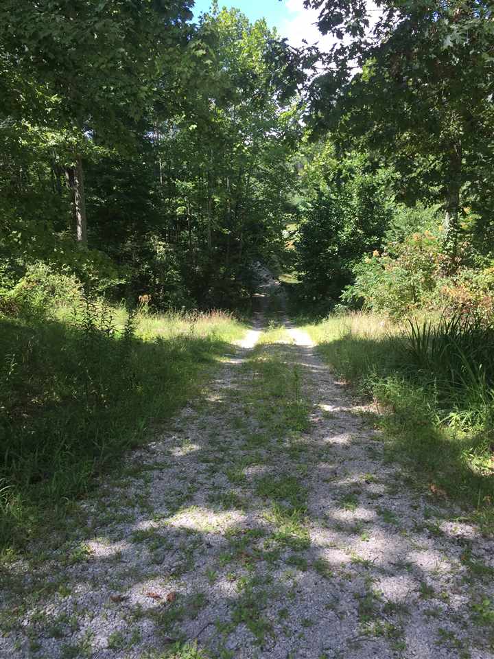 3450 New Road Freedom, IN 47431 - Photo 11 of 13
