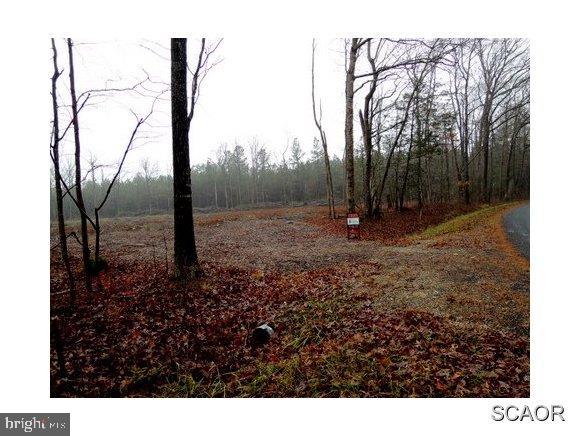 18588 Asketum Branch Road Georgetown, DE 19947 - Photo 1 of 2 Gallery Image 1