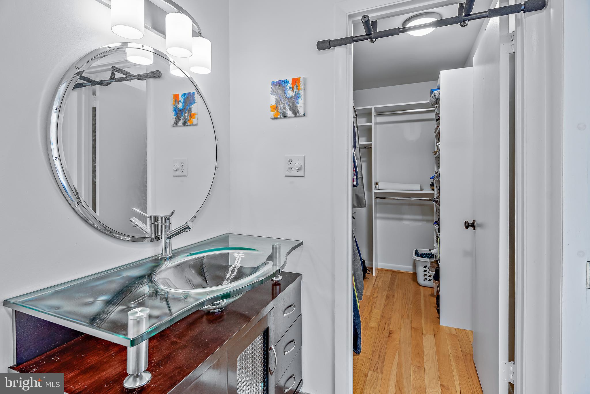 7261 Dockside Lane Columbia, MD 21045 - Photo 37 of 68 a bathroom with a sink a mirror and a shower