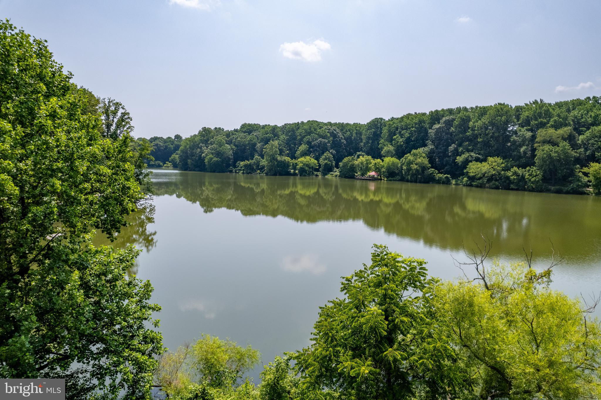 7261 Dockside Lane Columbia, MD 21045 - Photo 60 of 68 a view of a lake with a city
