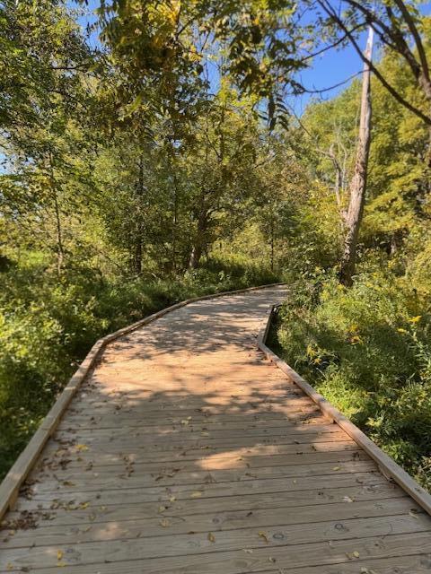 2307 Legend Circle Chesterton, IN 46304 - Photo 24 of 24 a backyard of a house with lots of green space