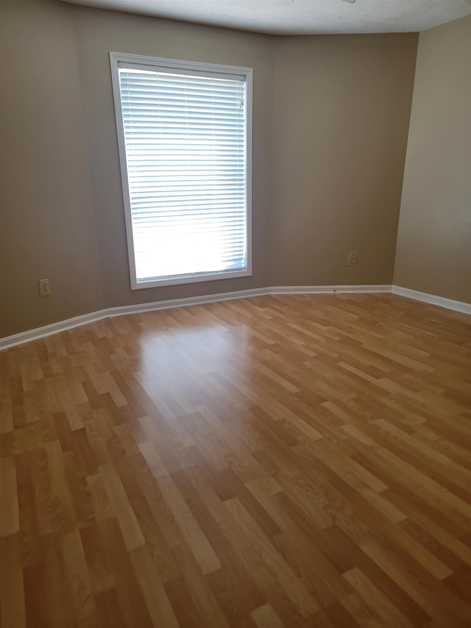 19 Roxy Cove Jackson, TN 38301 - Photo 5 of 14 Photo 5
