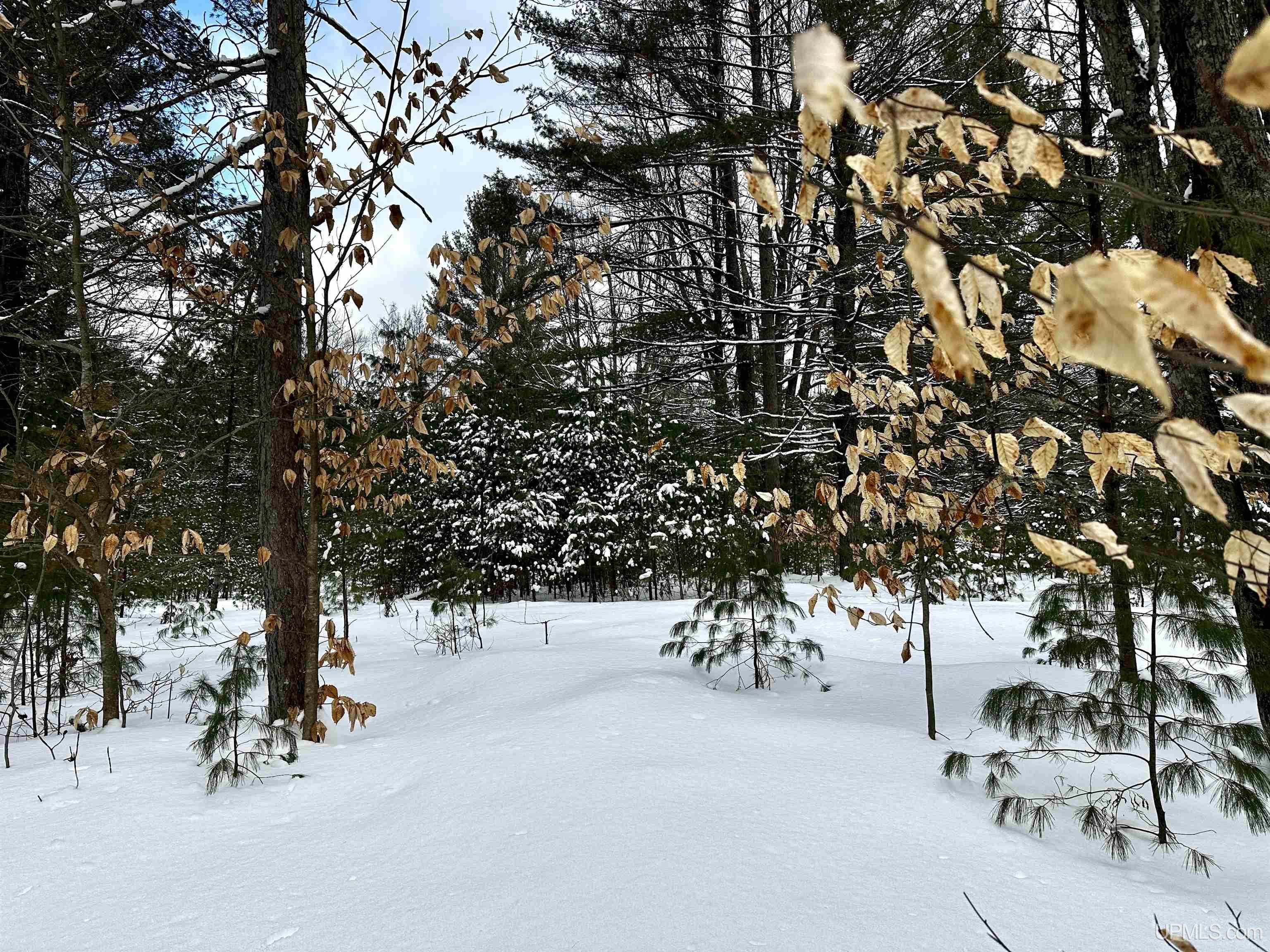 11624 Rams Dam Road Manistique, MI 49854 - Photo 26 of 35 Gallery Image 26