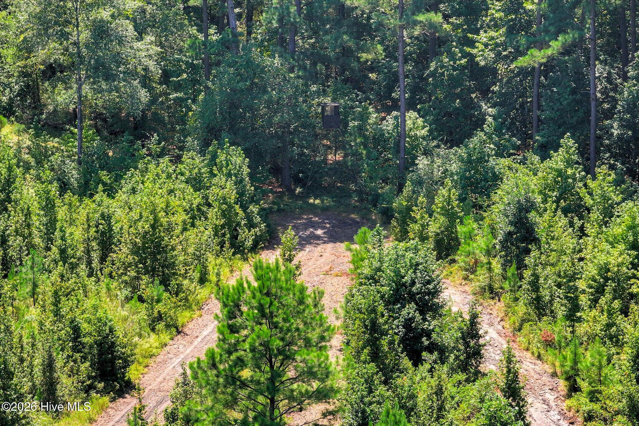 170 Landing Road Jackson, SC 29831 - Photo 59 of 76 Gallery Image 59