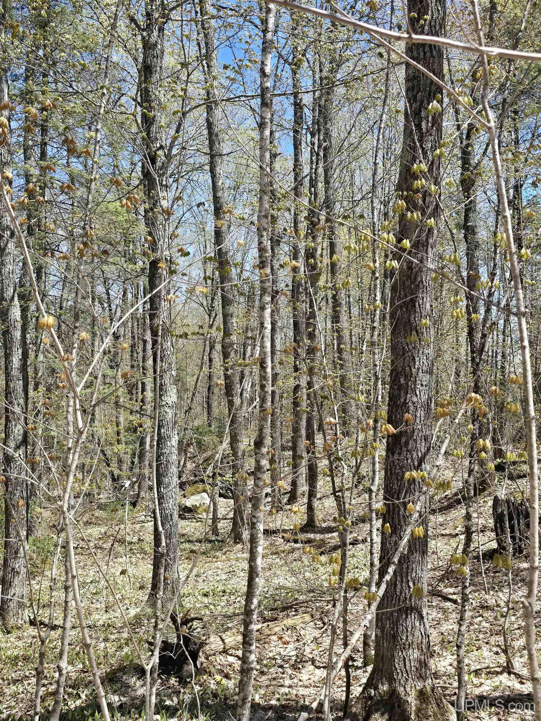 Tbd Murphy Road Covington, MI 49919 - Photo 35 of 57