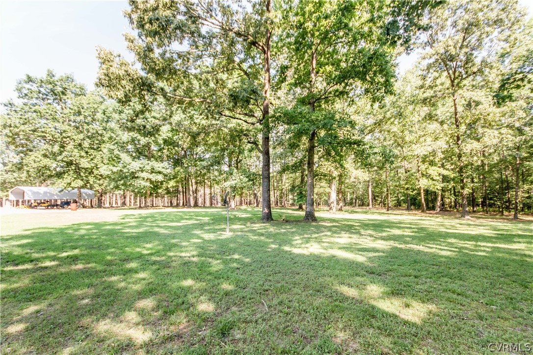 19880 Turkey Ridge Road Carson, VA 23830 - Photo 19 of 20 a big yard with trees in the background