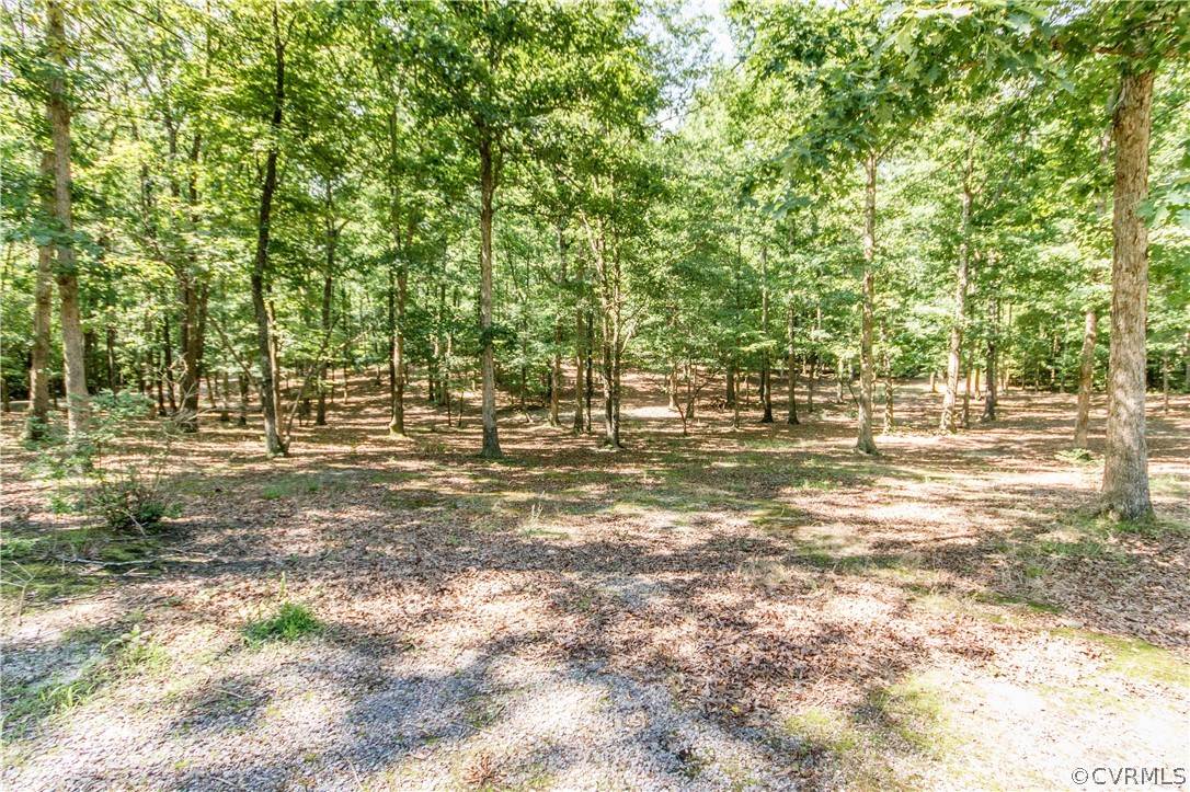 19880 Turkey Ridge Road Carson, VA 23830 - Photo 20 of 20 a view of outdoor space with a lake view