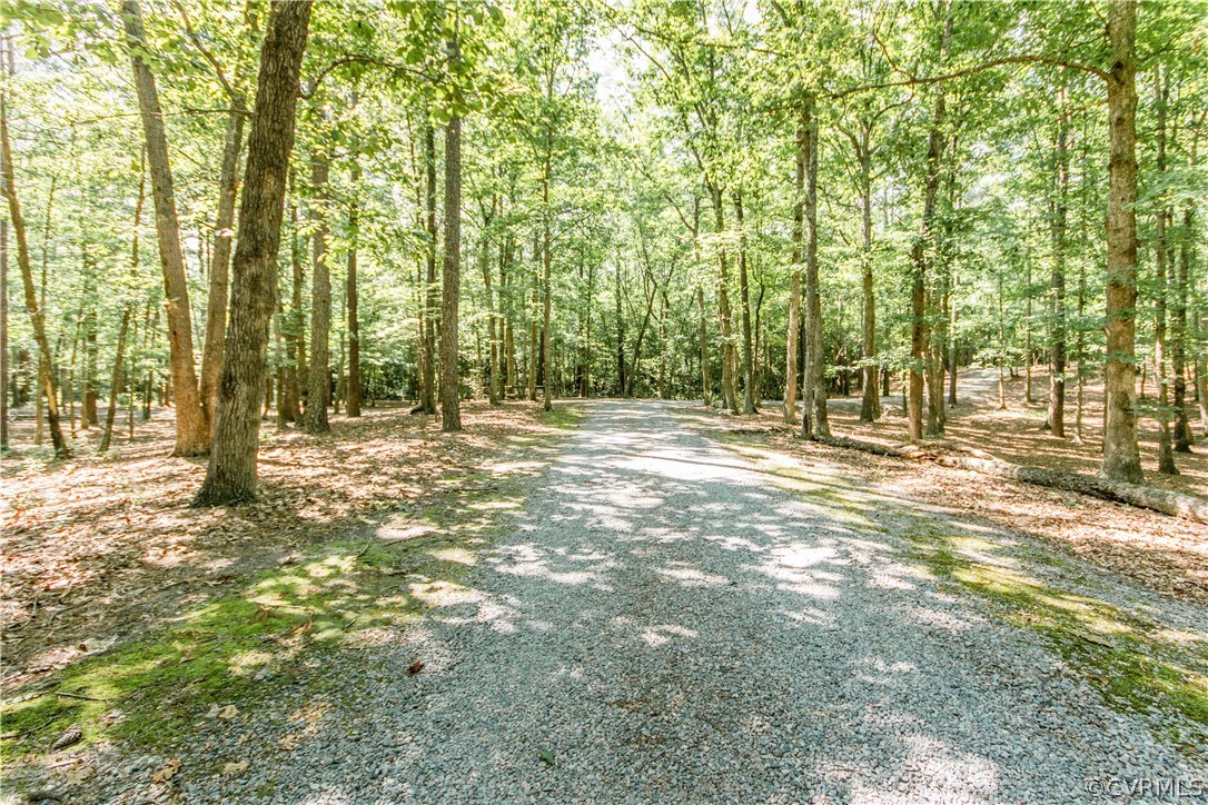 19880 Turkey Ridge Road Carson, VA 23830 - Photo 2 of 20 a view of outdoor space with trees