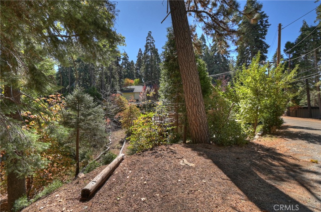 863 Oak Road Lake Arrowhead, CA 92385 - Photo 41 of 42